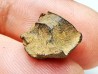 Météorite: SIDERITE iron IVA - GIBEON