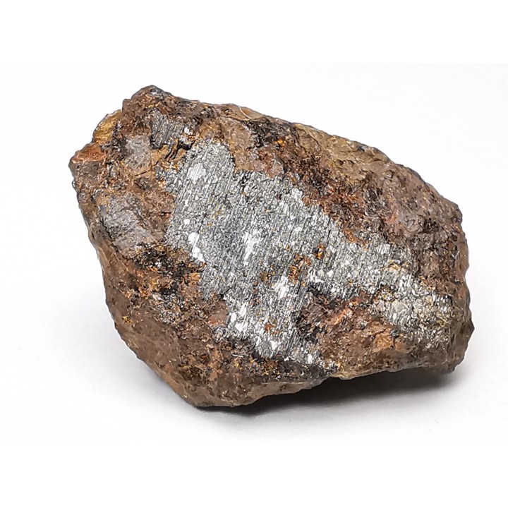 Meteorite Mesosiderite - Vaca Muerta, Chile