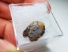 Météorite Mésosidérite - Vaca Muerta, Chili