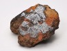 Meteorite Mesosiderite - Vaca Muerta, Chile