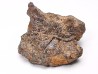 Meteorite Mesosiderite - Vaca Muerta, Chile