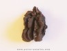 JUGLANS BERGOMENSIS (4)