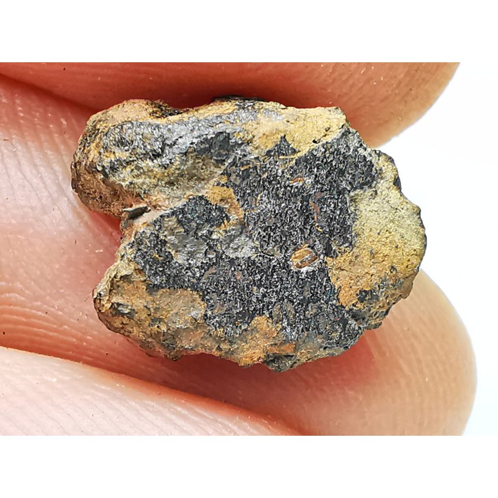 Meteorite Mesosiderite - Vaca Muerta, Chile