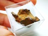 Météorite: SIDERITE iron IIIAB - HENBURY