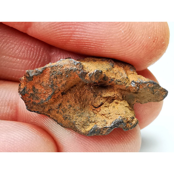Météorite: SIDERITE iron IIIAB - HENBURY