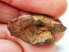 Météorite: SIDERITE iron IIIAB - HENBURY