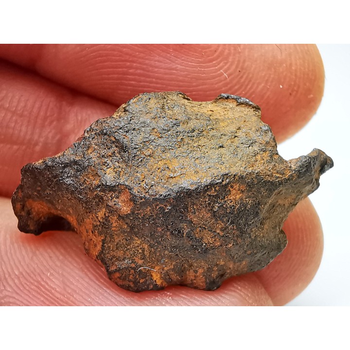 Météorite: SIDERITE iron IIIAB - HENBURY