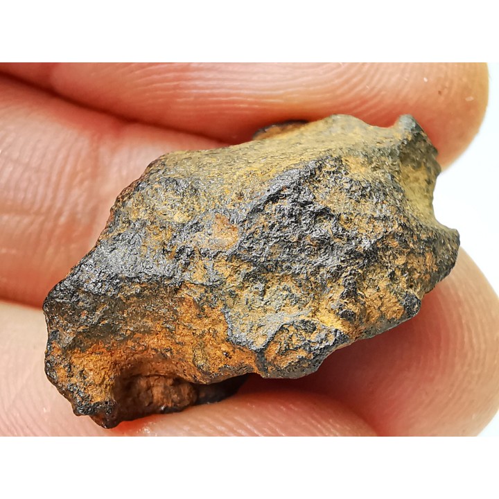 Météorite: SIDERITE iron IIIAB - HENBURY