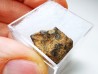 Météorite: SIDERITE iron IIIAB - HENBURY
