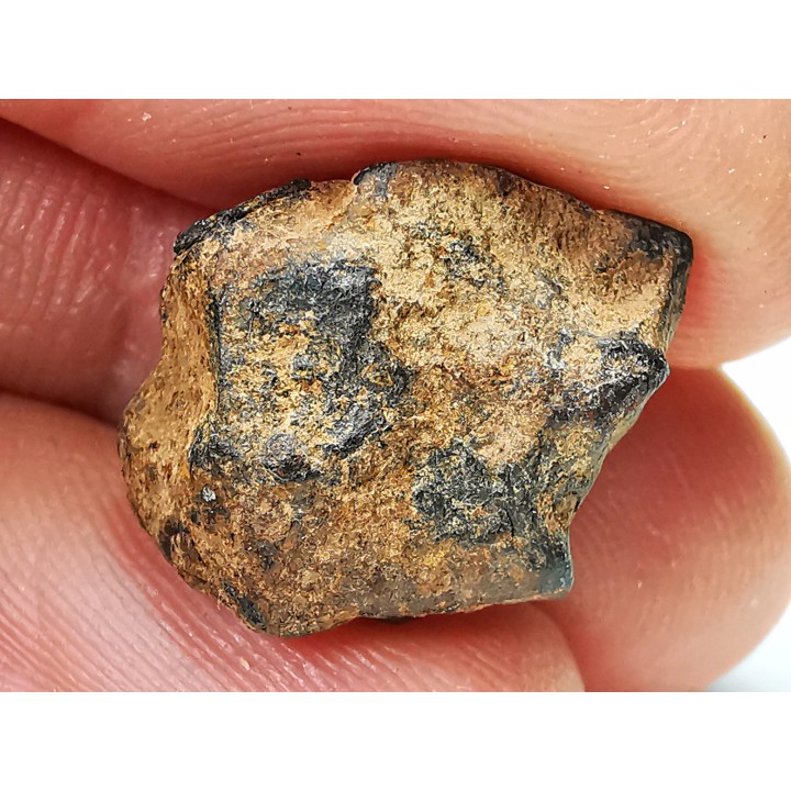 Météorite: SIDERITE iron IIIAB - HENBURY