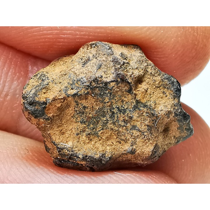 Météorite: SIDERITE iron IIIAB - HENBURY