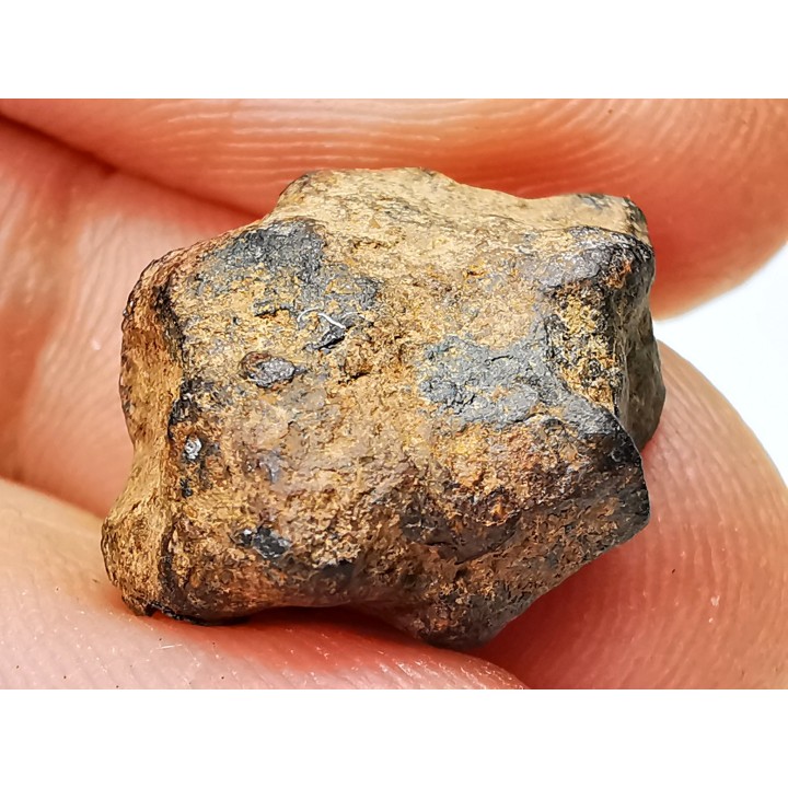 Météorite: SIDERITE iron IIIAB - HENBURY