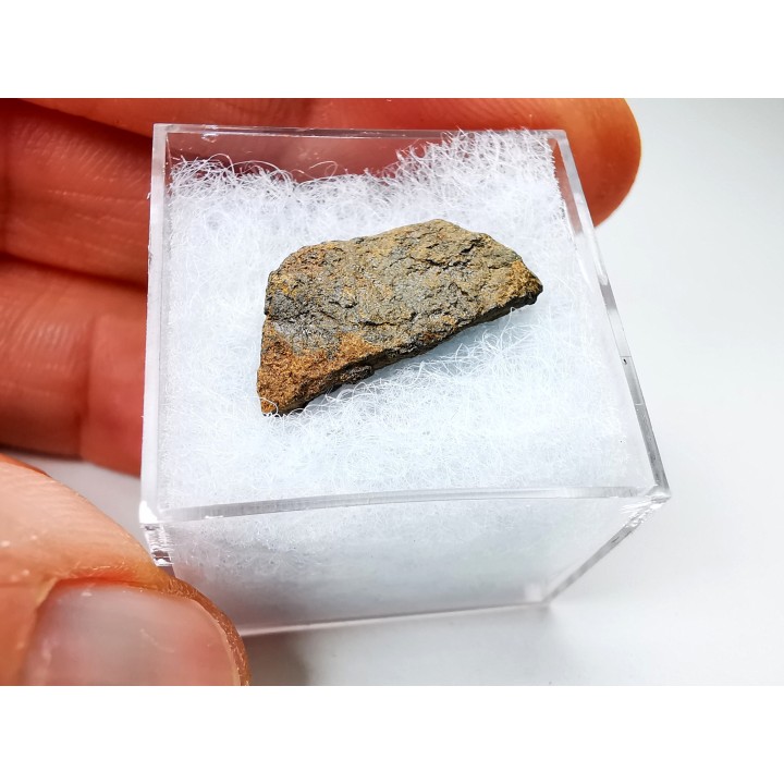 Météorite: SIDERITE iron IVA - GIBEON