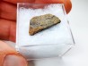 Météorite: SIDERITE iron IVA - GIBEON