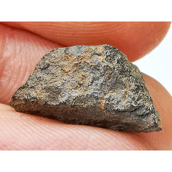 Météorite: SIDERITE iron IVA - GIBEON