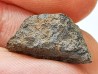 Météorite: SIDERITE iron IVA - GIBEON