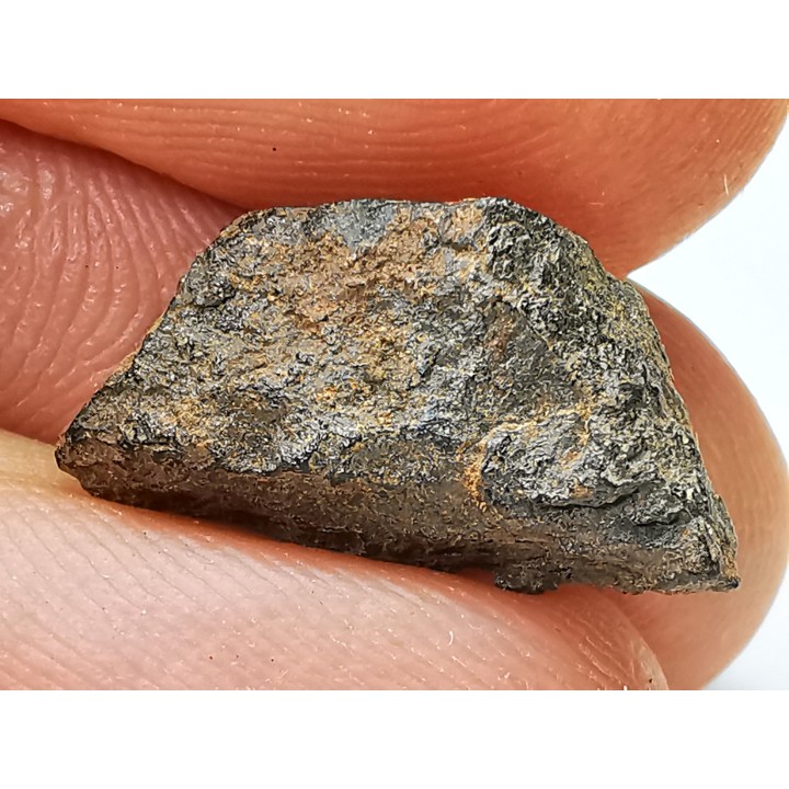 Météorite: SIDERITE iron IVA - GIBEON