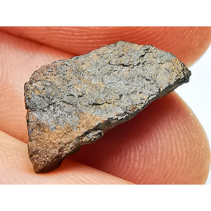 Météorite: SIDERITE iron IVA - GIBEON
