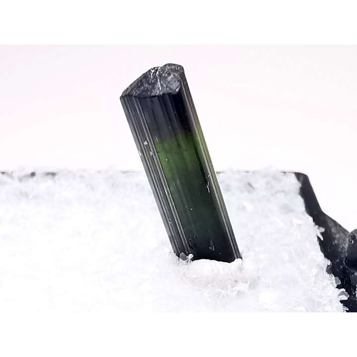 Tourmaline du Brésil