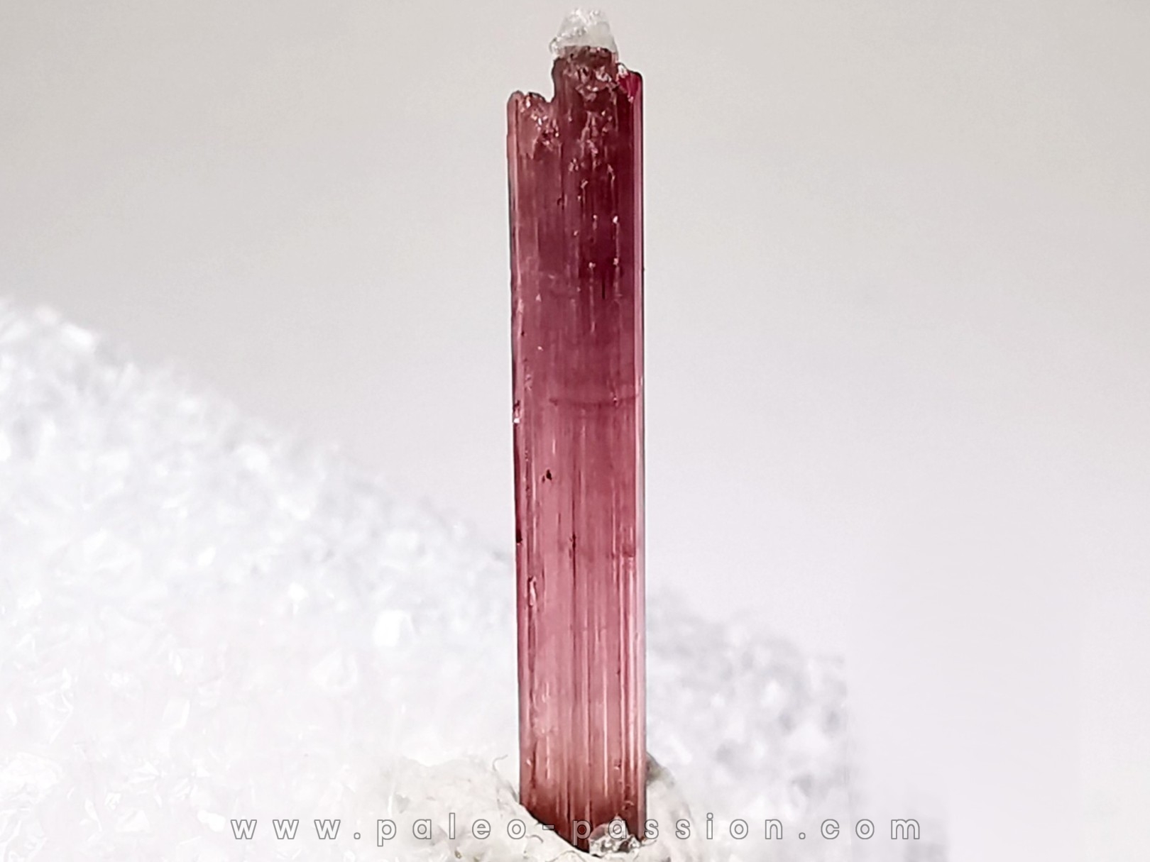 Tourmaline du Brésil