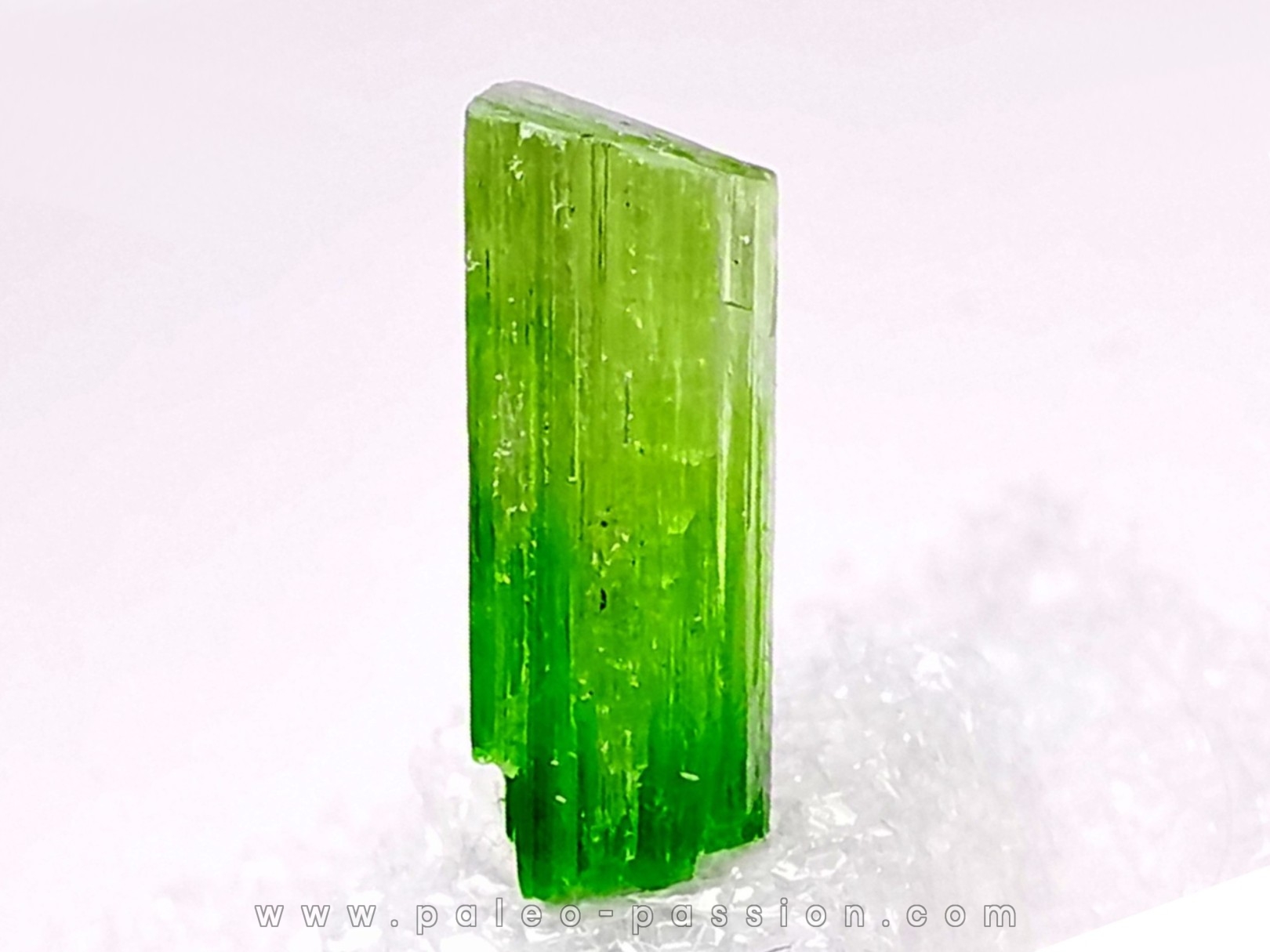Tremolite chromifere de Tanzanie