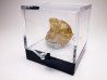 Fluorecent Cerussite from Morocco
