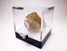 Fluorecent Cerussite from Morocco