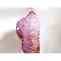 Quartz améthyste "Cactus" de Mbombela – Afrique du Sud