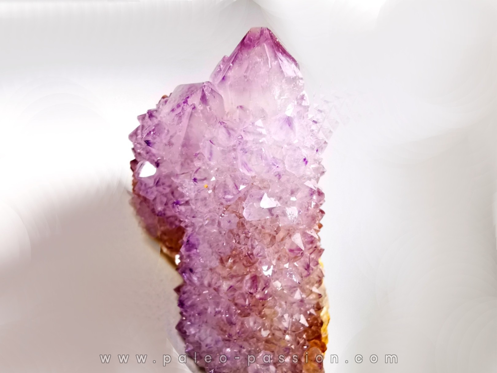 Quartz amethyst "Cactus" from Mbombela – South Africa