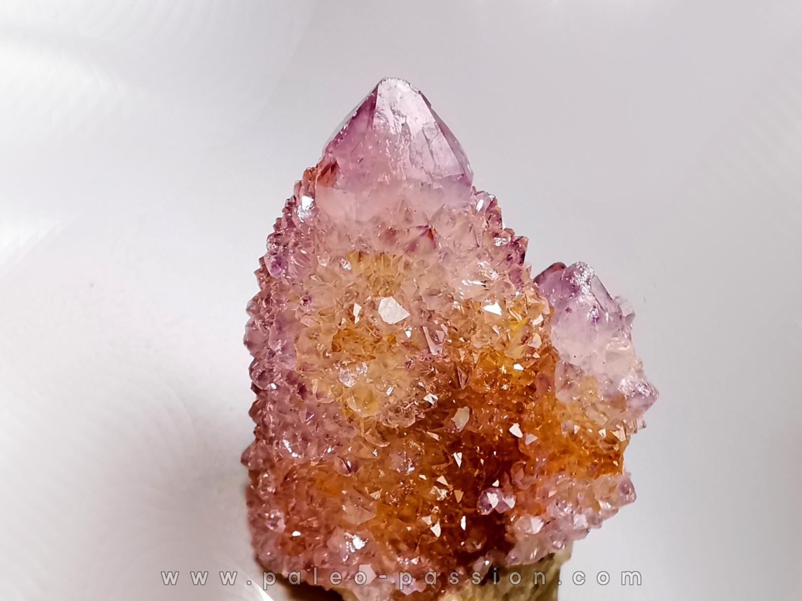 Quartz amethyst "Cactus" from Mbombela – South Africa