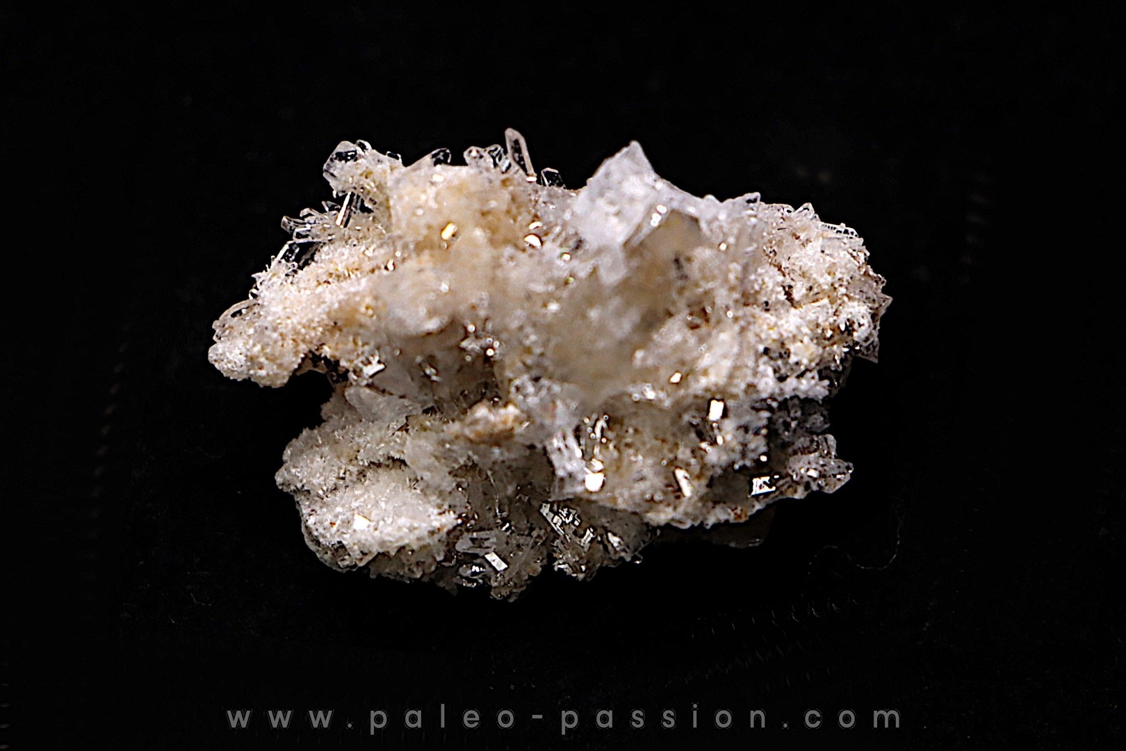NIFONTOVITE (BORATE) Mina Rey y Reina, Charcas, San Luis Potosi, Mexico