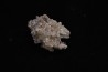 NIFONTOVITE (BORATE) Mina Rey y Reina, Charcas, San Luis Potosi, Mexico