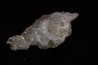 NIFONTOVITE (BORATE) Mina Rey y Reina, Charcas, San Luis Potosi, Mexico