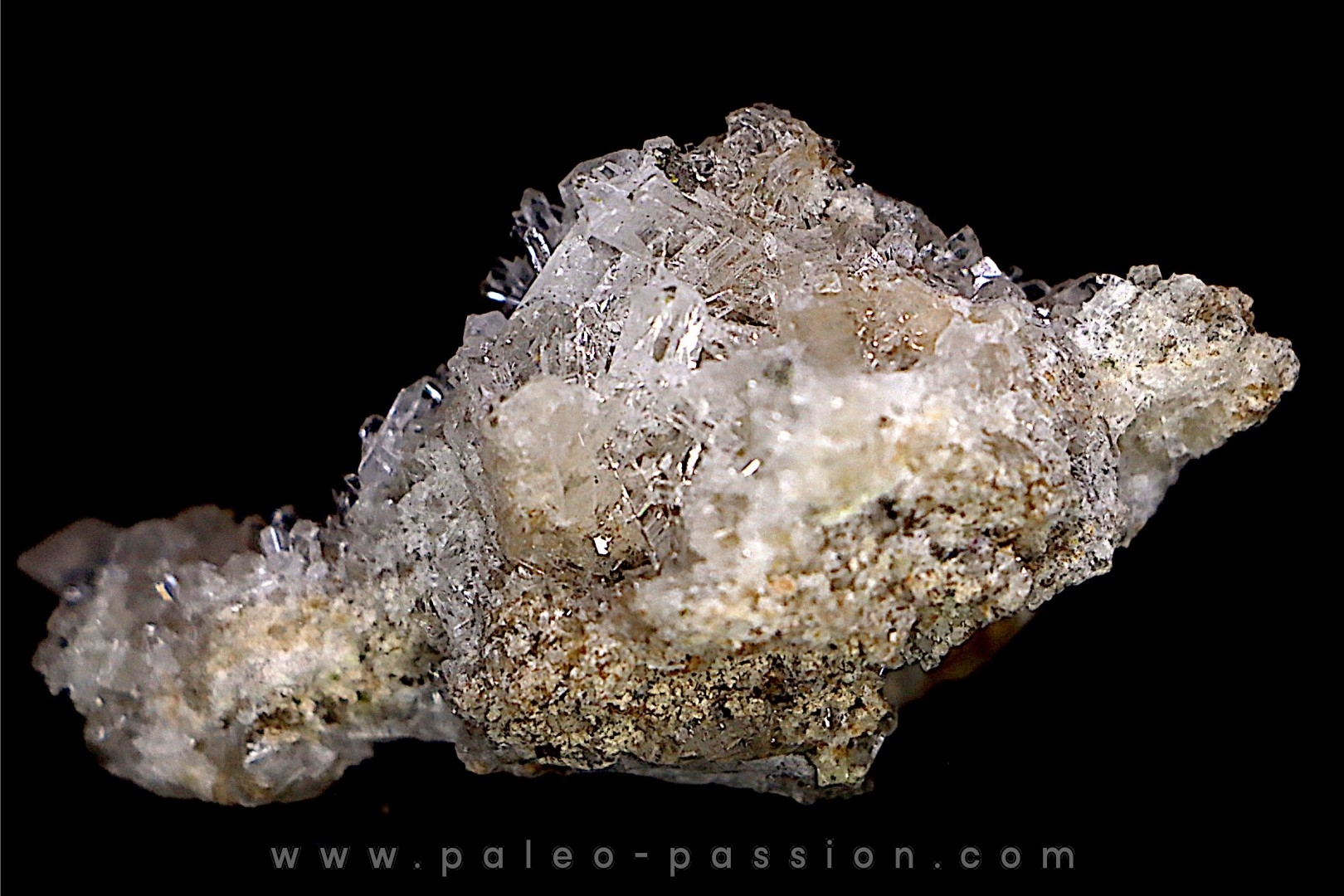 NIFONTOVITE (BORATE) Mina Rey y Reina, Charcas, San Luis Potosi, Mexico