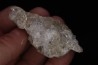 NIFONTOVITE (BORATE) Mina Rey y Reina, Charcas, San Luis Potosi, Mexico