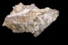 NIFONTOVITE  (BORATE) Mina Rey y Reina, Charcas, San Luis Potosi, Mexico