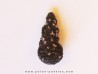PINUS sp. (9)