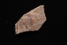 fragment d'os de dinosaure TRICERATOPS avec trace de prédation   Hell Creek  FMT - crétacé supérieur - Montana - USA