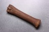Primitive horse Metatarsal :  Equus sp. -  Pleistocene - North sea, Holland