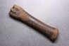 Metatarsal de cheval primitif Equus sp. - Pléistocène - mer du Nord, Hollande