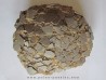 DINOSAUR EGG from france