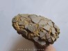 OEUF DE DINOSAURE de France