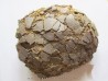 DINOSAUR EGG from france