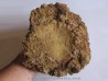 DINOSAUR EGG from france