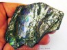 AMMOLITE (5)