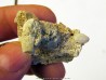 GALATHEA WEINFURTERI