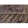 Fougère:  PECOPTERIS POLYMORPHA  Stephanian (carboniferous)  Graissesac, les Nieres, 34, FRANCE