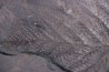 Fougère:  PECOPTERIS POLYMORPHA  Stephanian (carboniferous)  Graissesac, les Nieres, 34, FRANCE