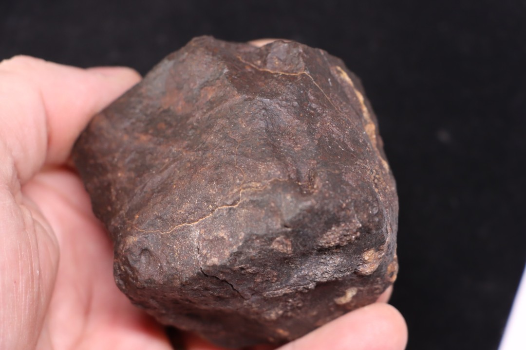 Meteorite Ordinary Chondrite, NWA, Sahara