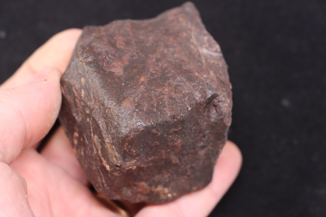 Meteorite Ordinary Chondrite, NWA, Sahara